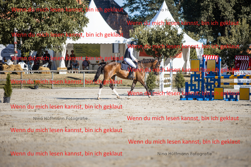 BK1A7469 | Turnierbilder Turnierfotos Nina Hüffmann Turnierfotografie Pferdefotografie Tierzeichnung Haustierzeichnung Pferdezeichnung Hundezeichnung Videograf  - Realisiert mit Pictrs.com