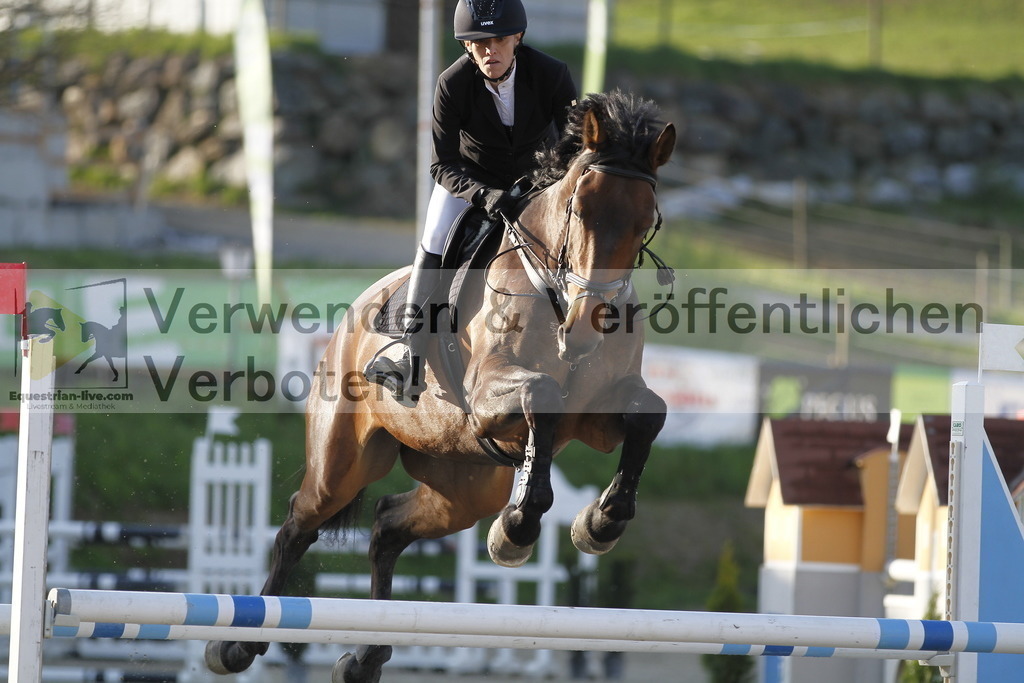 _MG_8558 | equestrian-live-com