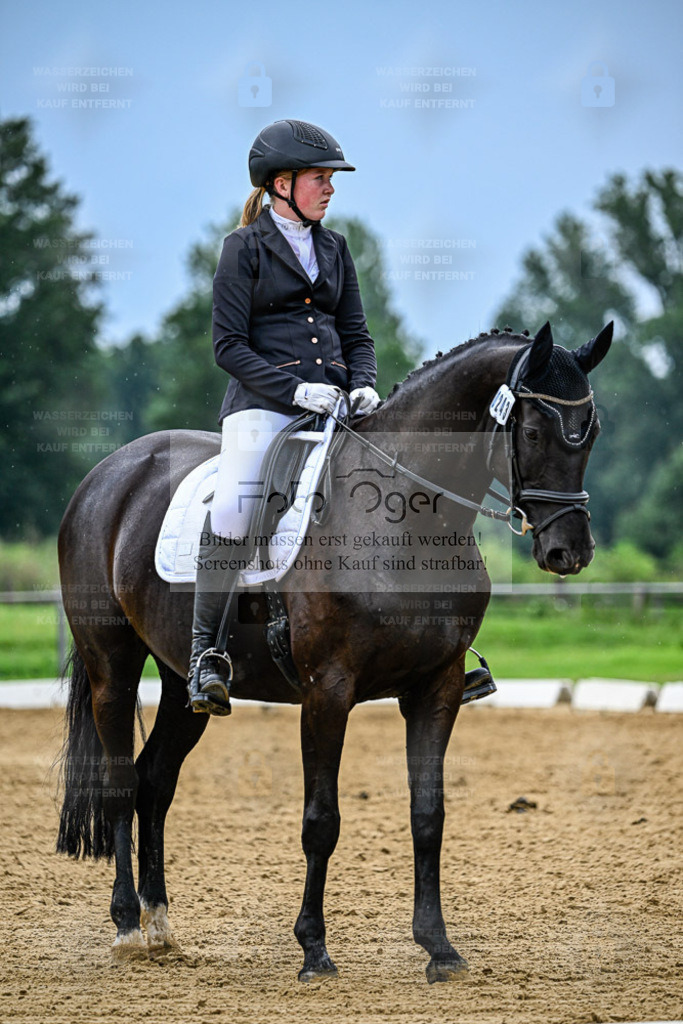 Reitturnier Hasbergen | Entdecke hochwertige Reitturnierfotos von Foto Oger. Professionell, emotional und authentisch – jetzt Lieblingsmomente im Shop bestellen. - Realisiert mit Pictrs.com