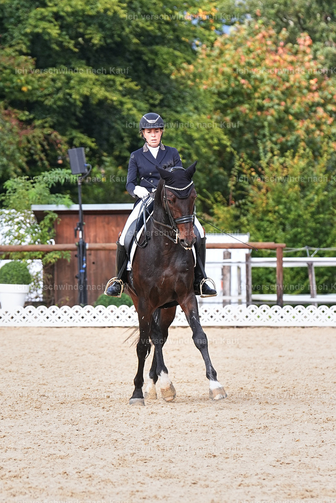 07-007-DRESSUR  S___  -Marixx-5132 | working equitationturnier fotograf videograf stoibphotography marixx film working equitation deutschland reitsport turnierfotografie eventfotografie equestrian events