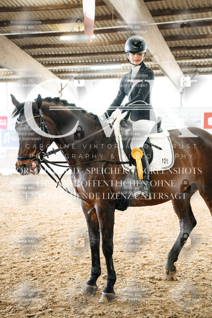 CK703073 | Turnierfotografie Pferdefotografie Trier Rheinland-Pfalz Pferdesport Reitsport Tierfotografie Sportfotografie Pferdevideo Pferdevideografie Equestrianvideography equestrianphotography  - Realisiert mit Pictrs.com