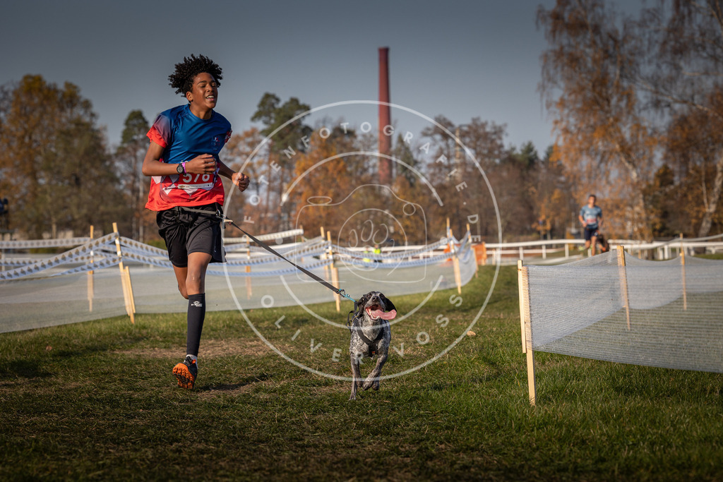 CaniXpix_0L8A9707 | Hundefotografie, Tierfotograf, Pfotenfotografie, Fotoshooting Hund, Hunde Portrait, Hundesport, Hundeportraits, Heideshooting, Hunde, Sportfotograf, Hundefotograf, Turnierhundsport, THS,  - Realisiert mit Pictrs.com