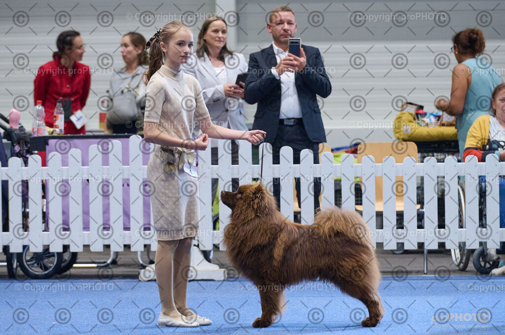 202406_ÖKV-IHA-Tulln24_DSC_4691 | proPHOTO - Realisiert mit Pictrs.com