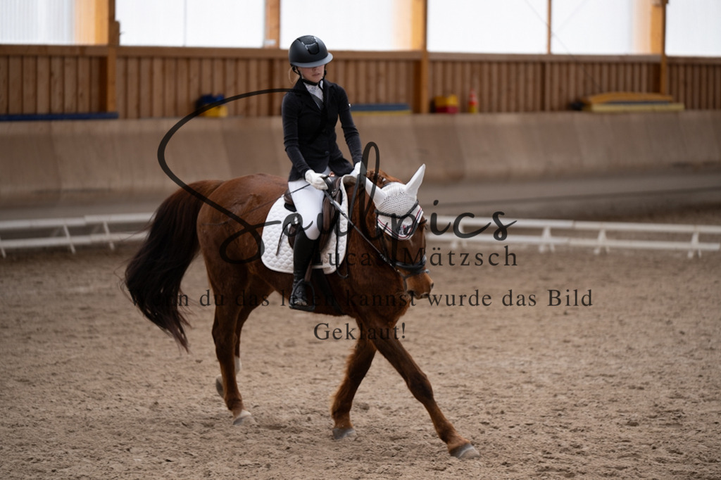 A7V09516 | Pferdefotograf