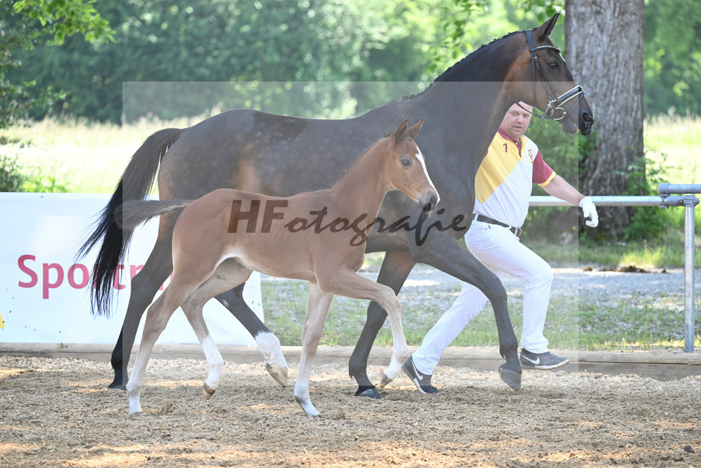 Kat-Nr. 12 SF Kjento_Knott_14230282 | hf-fotografie - Realisiert mit Pictrs.com