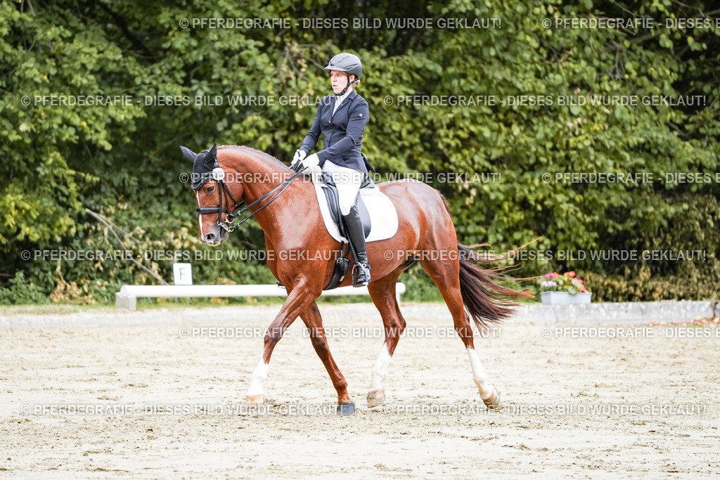 DSC04337 | Pferdegrafie