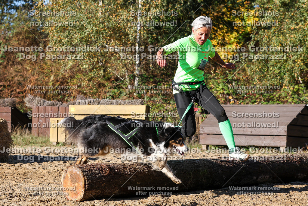 Dog Paparazzi - Strongdog 10-25-1812 | Dog Paparazzi Jeanette Grottendiek Fotografie & Videografie - Realisiert mit Pictrs.com