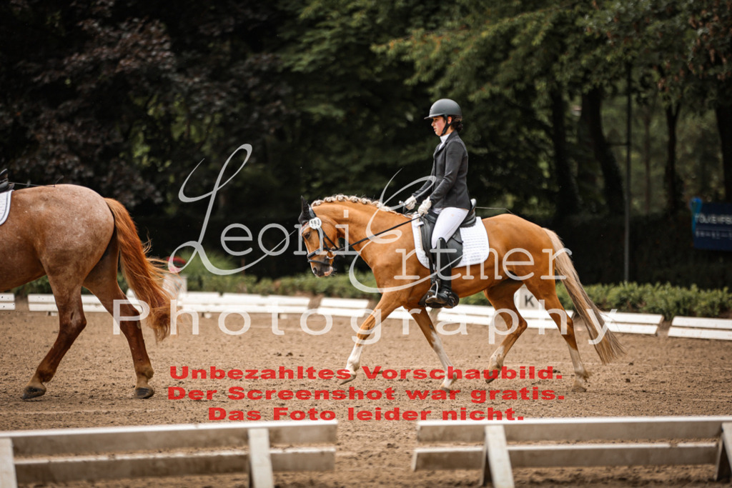 4.DoDrE00170 | Leoni Ertmer Photography - Realisiert mit Pictrs.com