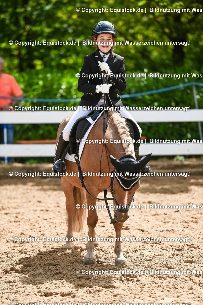 20230716_10-3_Reiter-WB Schritt - Trab - Galopp_0194 | equistock
