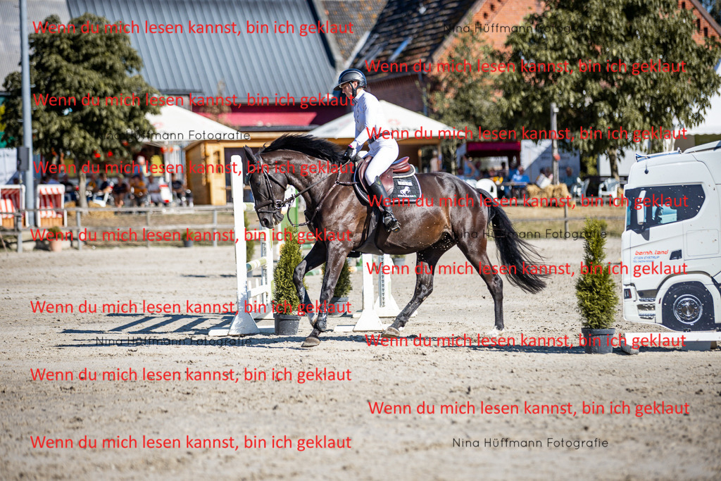 BK1A8013 | Turnierbilder Turnierfotos Nina Hüffmann Turnierfotografie Pferdefotografie Tierzeichnung Haustierzeichnung Pferdezeichnung Hundezeichnung Videograf  - Realisiert mit Pictrs.com