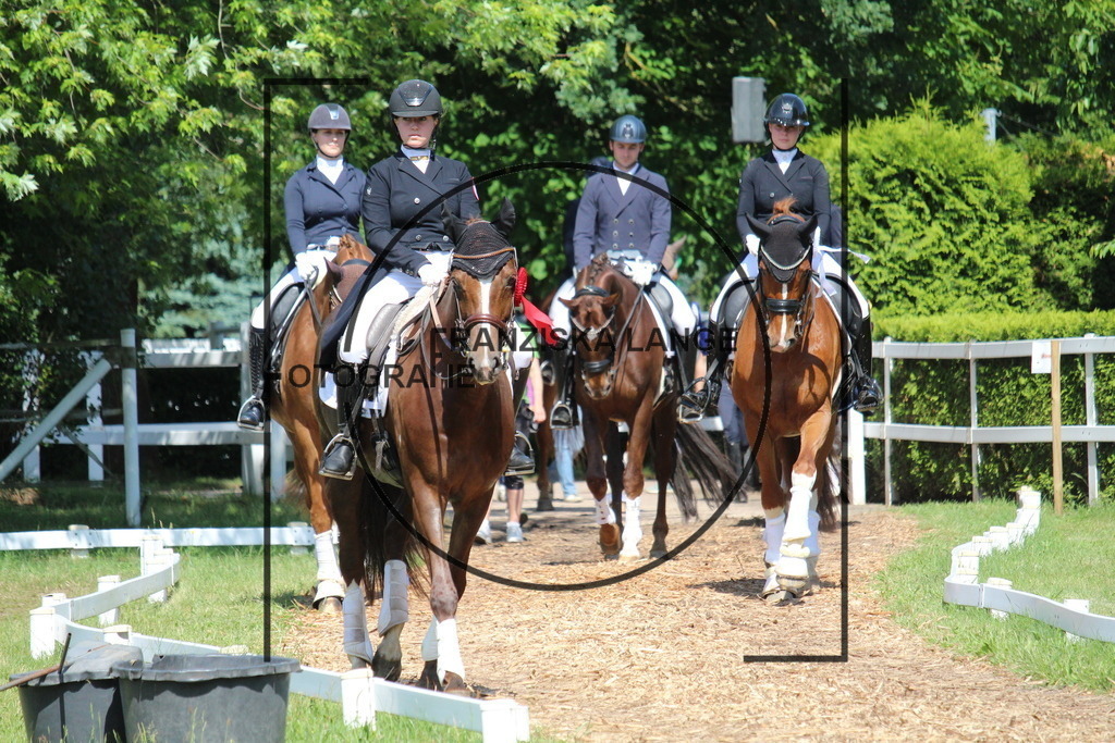 IMG_7259 | franziskalange - Realisiert mit Pictrs.com