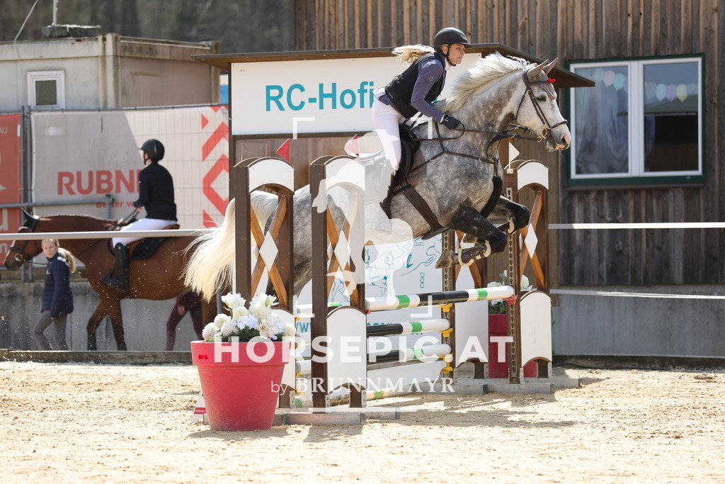 0P6A7513 | Willkommen bei Brunnmayr - Design & Fotografie – Ihrem Spezialisten für Reitturniere und Pferdeveranstaltungen in Oberösterreich, Salzburg und Bayern! Seit über 17 Jahren sind wir leidenschaftlich dabei.