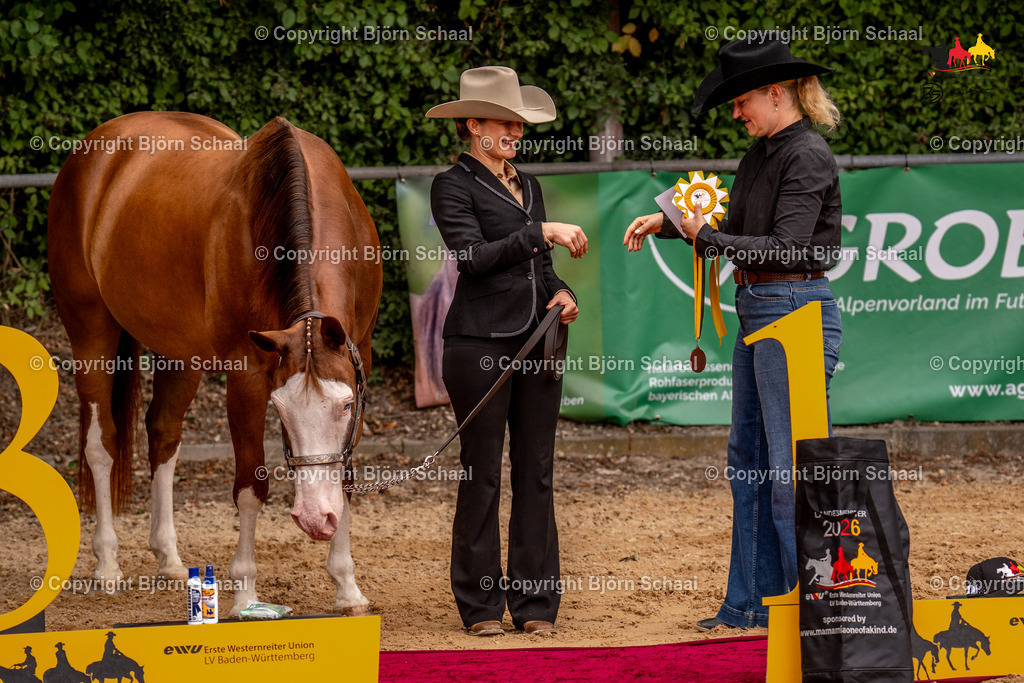 LMS06775 | BS-foto