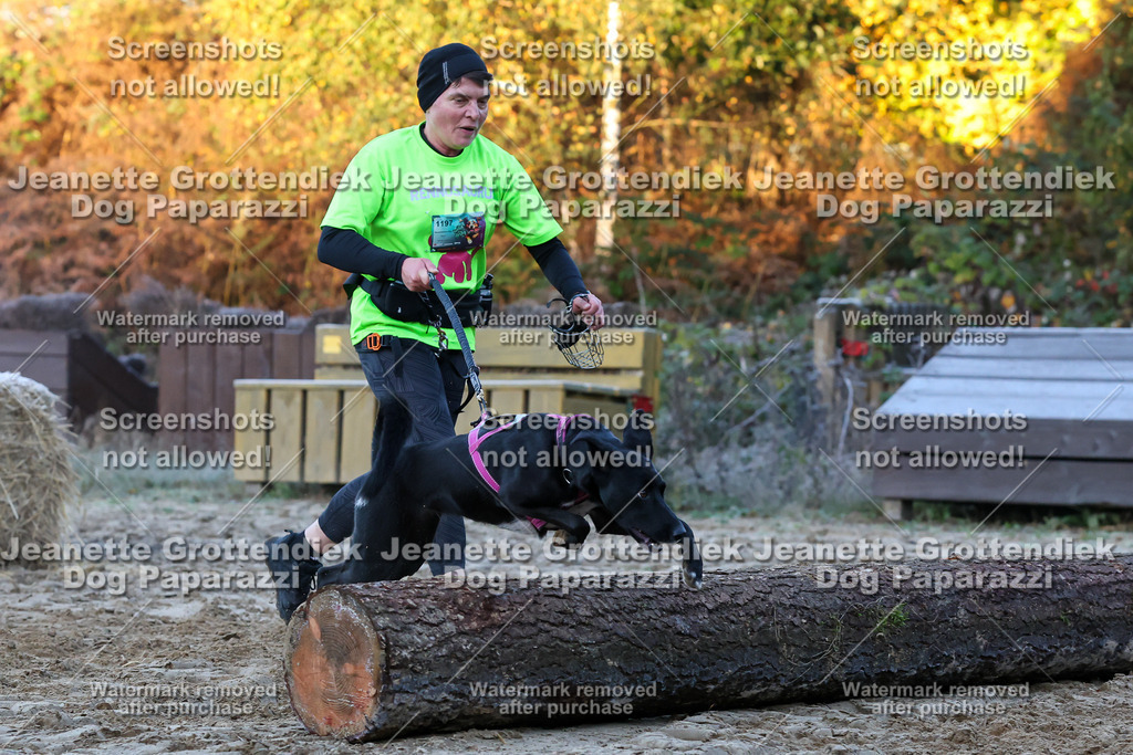 Dog Paparazzi - Strongdog 10-25-381 | Dog Paparazzi Jeanette Grottendiek Fotografie & Videografie - Realisiert mit Pictrs.com