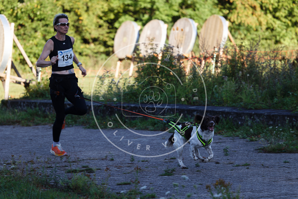 0L8A4796 | Hundefotografie, Tierfotograf, Pfotenfotografie, Fotoshooting Hund, Hunde Portrait, Hundesport, Hundeportraits, Heideshooting, Hunde, Sportfotograf, Hundefotograf, Turnierhundsport, THS,  - Realisiert mit Pictrs.com