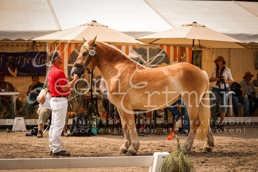 3.Sa00032 | Leoni Ertmer Photography - Realisiert mit Pictrs.com