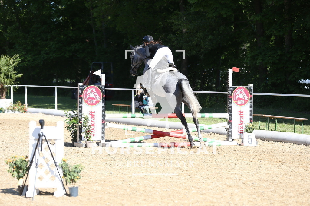 DL2Q0565 | Willkommen bei Brunnmayr - Design & Fotografie – Ihrem Spezialisten für Reitturniere und Pferdeveranstaltungen in Oberösterreich, Salzburg und Bayern! Seit über 17 Jahren sind wir leidenschaftlich dabei.