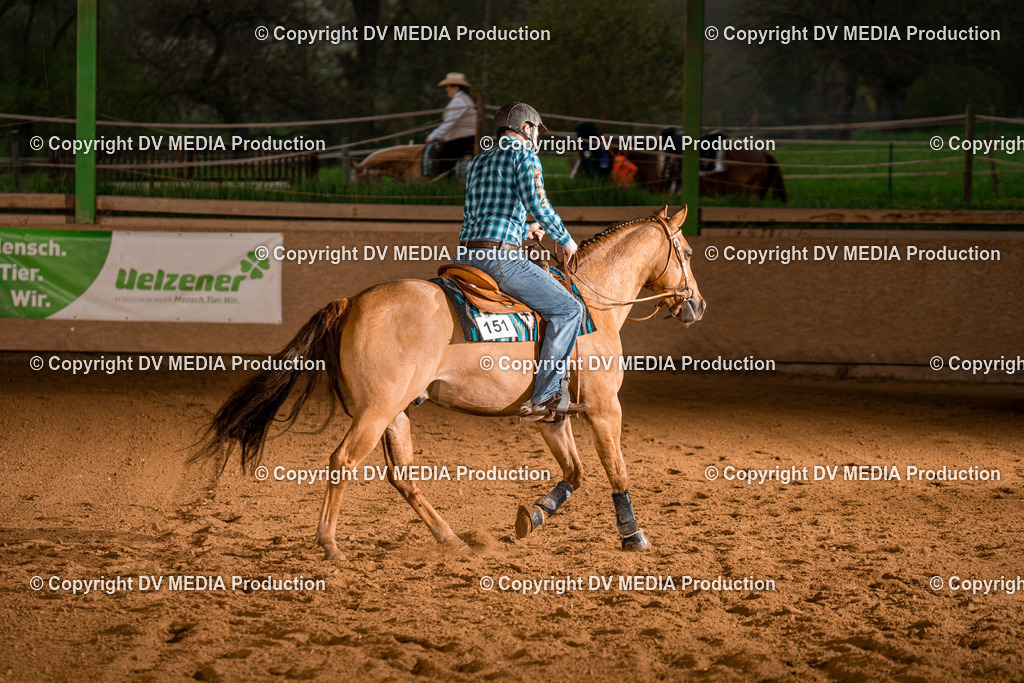 BAL01114 | dv-media-shop - Realisiert mit Pictrs.com