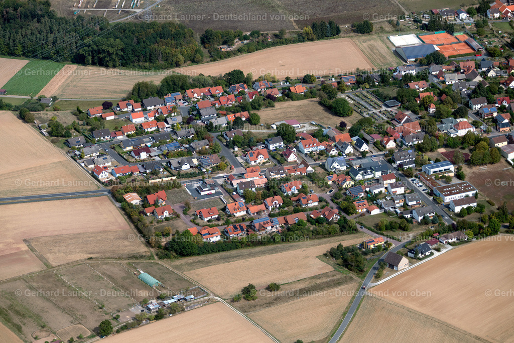 3904146 | Wiesenfeld