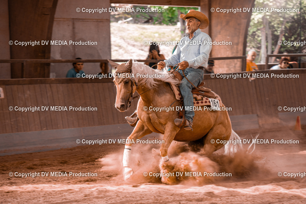 NE300730 | dv-media-shop - Realisiert mit Pictrs.com