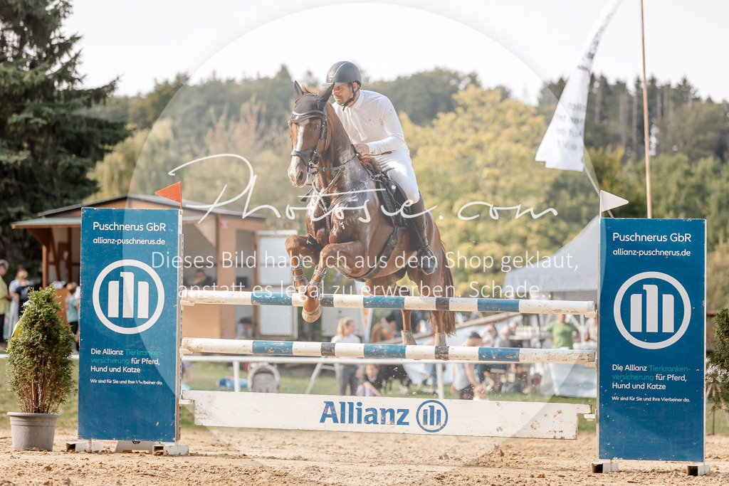 3I6A5147 | Stimmungsvolle Portraits und Reitsportfotografie im Ruhrgebiet und im Münsterland.

Pferdefotografie, Hundefotografie, Tierfotografie, Reportagen, Portraits von Tier und Mensch, Turnierfotografie in Bochum, Recklinghausen, Marl, Haltern am See, Dülmen.. - Realisiert mit Pictrs.com