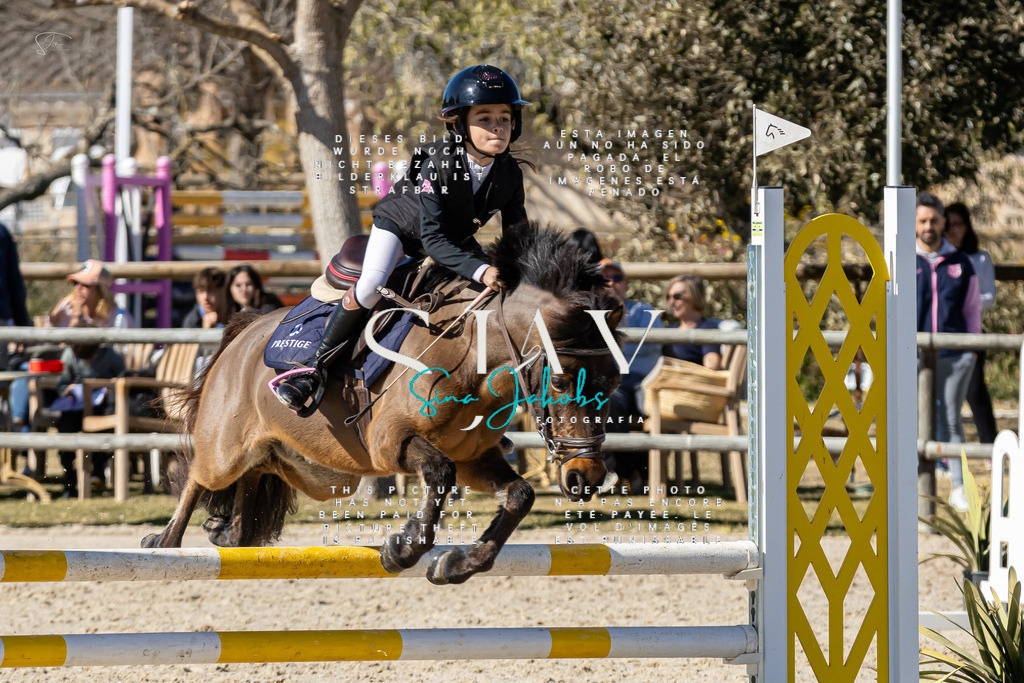 IMG_9161 | s-jay-photography - Realisiert mit Pictrs.com