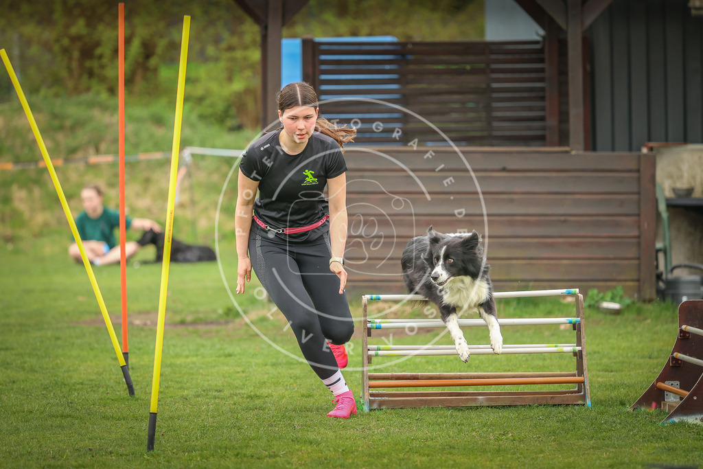 Pfotenfotografie_0L8A0782 | Hundefotografie, Tierfotograf, Pfotenfotografie, Fotoshooting Hund, Hunde Portrait, Hundesport, Hundeportraits, Heideshooting, Hunde, Sportfotograf, Hundefotograf, Turnierhundsport, THS,  - Realisiert mit Pictrs.com