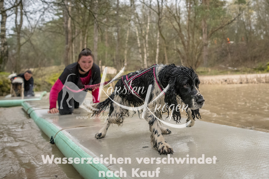 1056_ZZ93772-Bearbeitet | kk-dogfotos