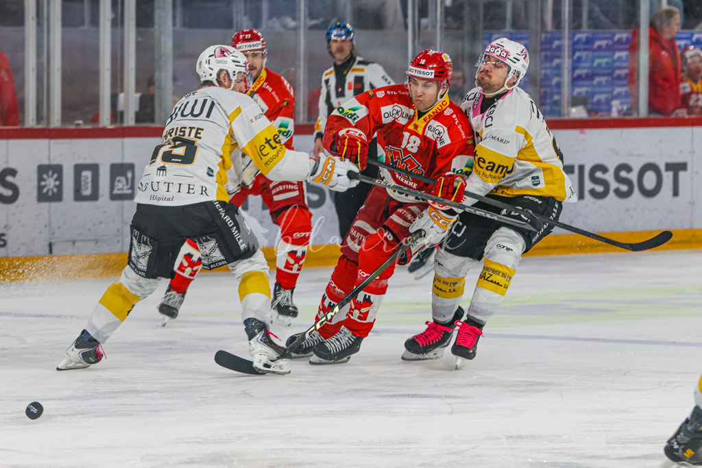 EHCB vs HCA 20260127_wb-9250 | Sportbilder, Sportfotograf, Hochzeits- und Eventfotografin, Flugshows, Portraits und Tiershooting, Aviation, Downhill, Nationalleague, Swissleague, International