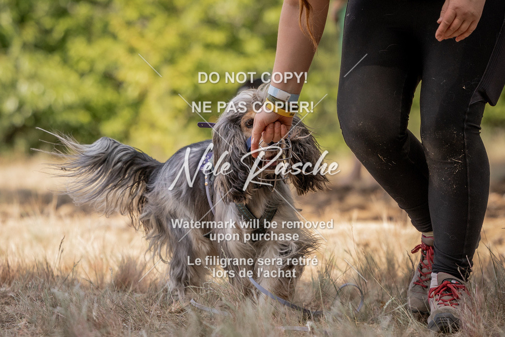 nelerasche_soDD2_357 | nelerasche