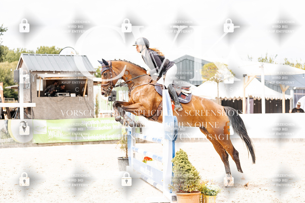 CK909812 | Turnierfotografie Pferdefotografie Trier Rheinland-Pfalz Pferdesport Reitsport Tierfotografie Sportfotografie Pferdevideo Pferdevideografie Equestrianvideography equestrianphotography  - Realisiert mit Pictrs.com