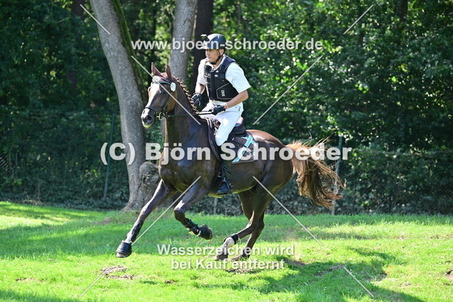 DSP Quickstep W_Bodo Battenberg_884_1069 | Björn Schroeder Pferdefotografie