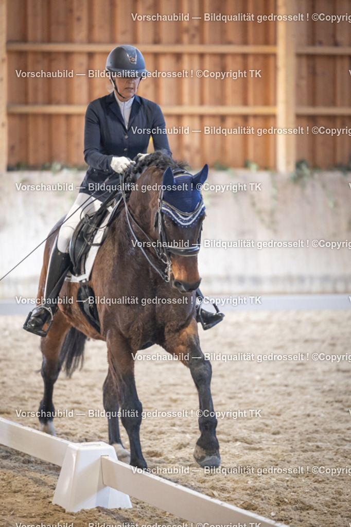 _D5A1762 | Emotionale Pferde- & People-Fotografie rund um Heidelberg, Leimen & Umgebung. Natürliche Fotos von Pferd, Mensch & Familie. Jetzt Termin sichern!