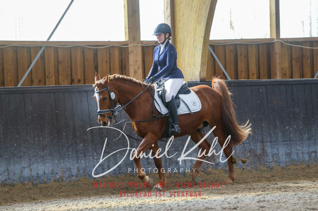 IMG_0881 | Turniersportfotografie; Pferdefotografie; Dressurfotografie