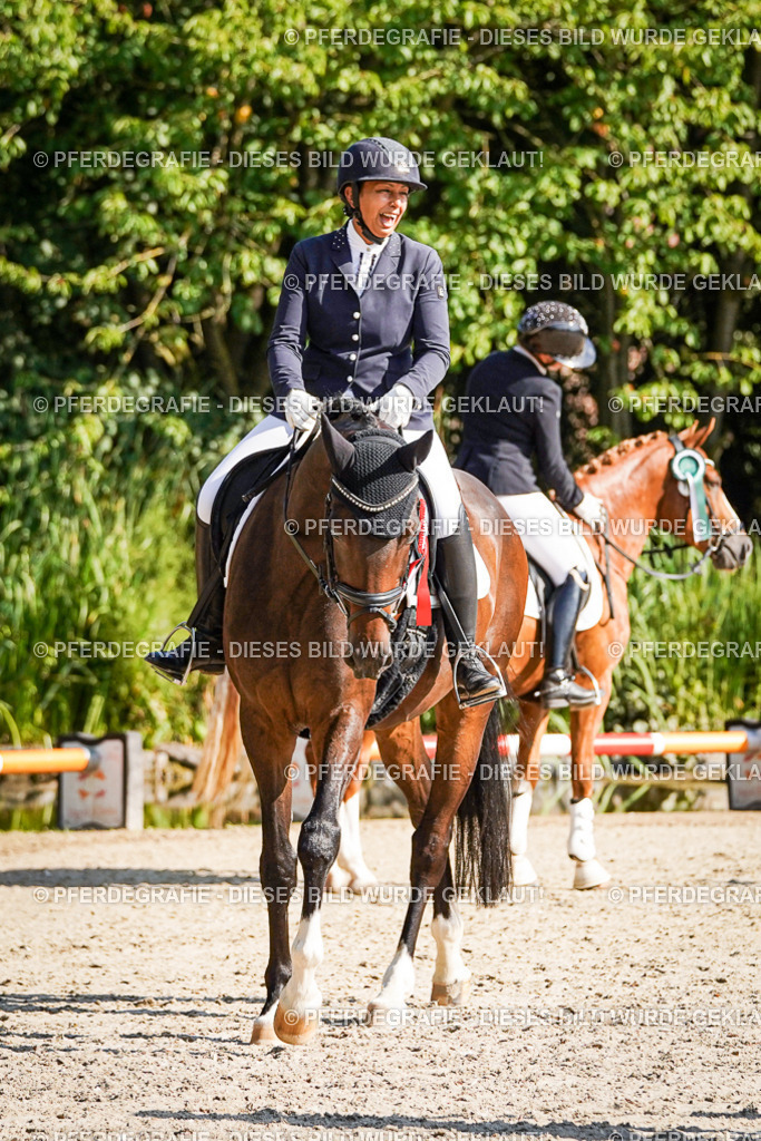 DSC00290 | Pferdegrafie