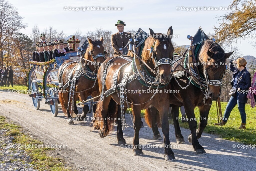 LBT24-1565 | foto-bettina-krinner - Realisiert mit Pictrs.com