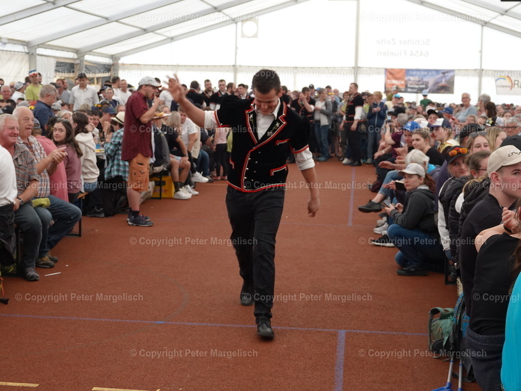 DSC07300 | Schwingen - Realisiert mit Pictrs.com