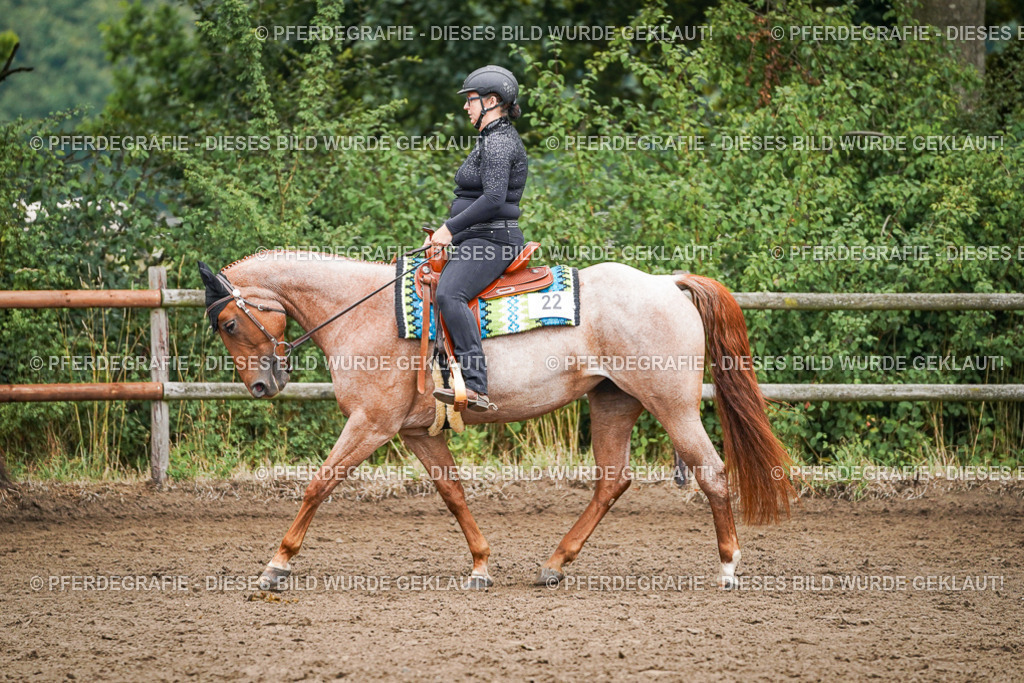 DSC01865 | Pferdegrafie