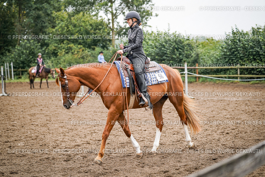 DSC02416 | Pferdegrafie