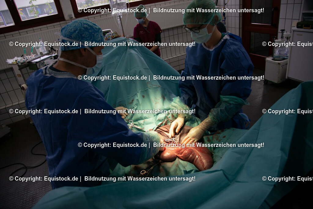 20191022_Kolik_OP_0045 | equistock