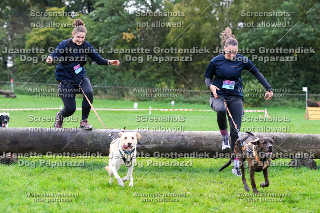 Dog Paparazzi -  SD1026-1000 | Dog Paparazzi Jeanette Grottendiek Fotografie & Videografie - Realisiert mit Pictrs.com