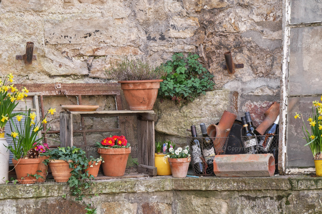 Sandsteinwand_mit_Blumen | Stockfotos, Fotos mit Miniaturfiguren und kreativen Ideen. Dabei auch vieles aus der Metropolregion Rhein-Neckar. 