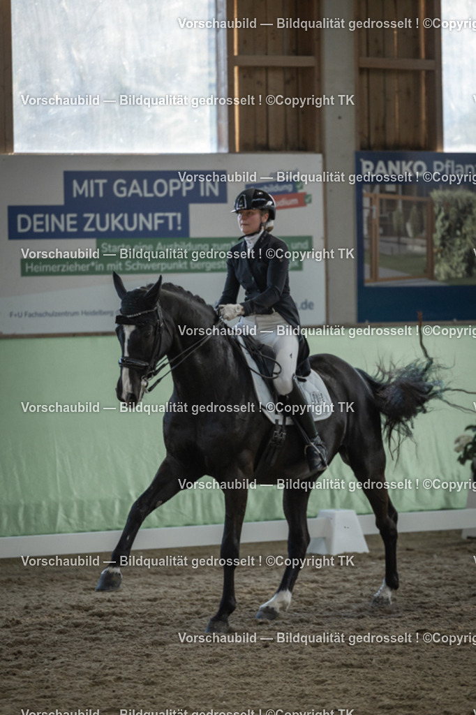 _D5A0808 | Emotionale Pferde- & People-Fotografie rund um Heidelberg, Leimen & Umgebung. Natürliche Fotos von Pferd, Mensch & Familie. Jetzt Termin sichern!