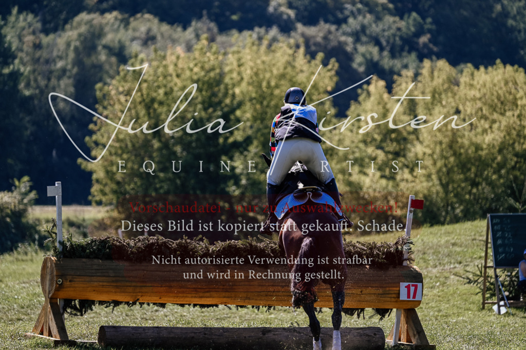 DSC_1588 | Pferde- und Turnierfotografie in Westsachsen. Pferdeportraits, Auftragszeichnungen und intuitive Kunst.