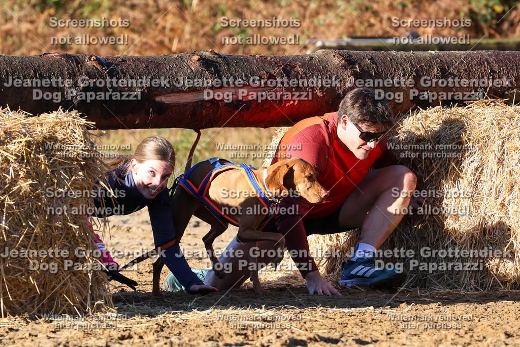 Dog Paparazzi - Strongdog 10-25-1241 | Dog Paparazzi Jeanette Grottendiek Fotografie & Videografie - Realisiert mit Pictrs.com