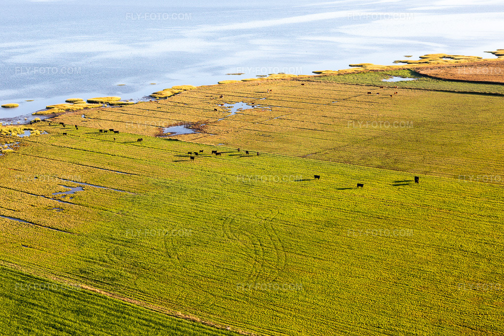 Aerial view: Wadden Sea National Park in Fanø in the state South Denmark, Denmark.Photo: IMG_118863.jpg taken on 09/21/2019 by Werner Riehm/FLY-FOTO.comResolution of the original: 5472 x 3648 px