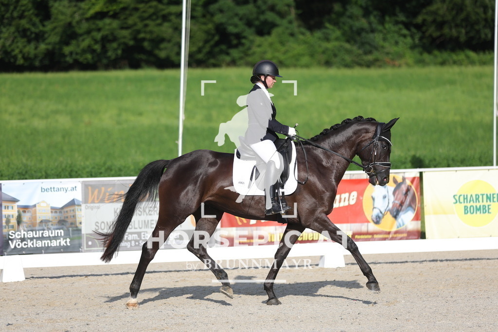0P6A4266 | Willkommen bei Brunnmayr - Design & Fotografie – Ihrem Spezialisten für Reitturniere und Pferdeveranstaltungen in Oberösterreich, Salzburg und Bayern! Seit über 17 Jahren sind wir leidenschaftlich dabei.