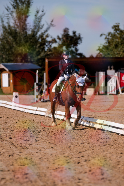 2026_10_03_Siefer-Hof_130251_Z81_57917932 | Professionelle Reitsport-, Turnier- und Eventfotografie von Robert Broda. Galerien mit ausgewählten und bearbeiteten Bildern direkt online ansehen und bestellen.