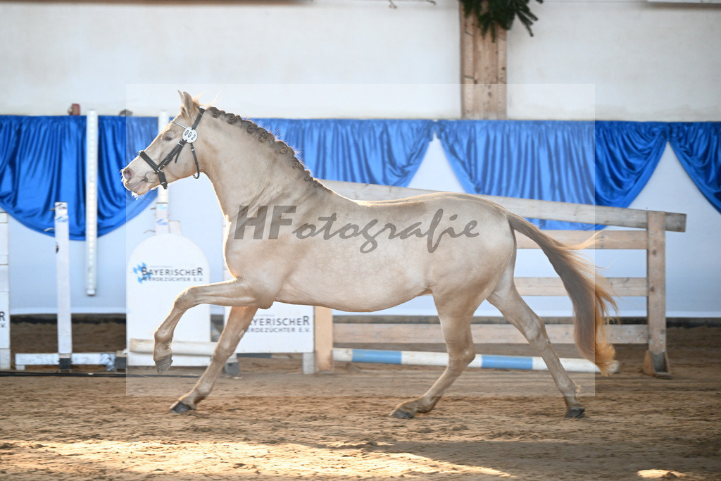 Kat-Nr. 2 Bonito Salazar v. Trianero PT_Abfalter GmbH _ Co. KG_9260043 | hf-fotografie - Realisiert mit Pictrs.com
