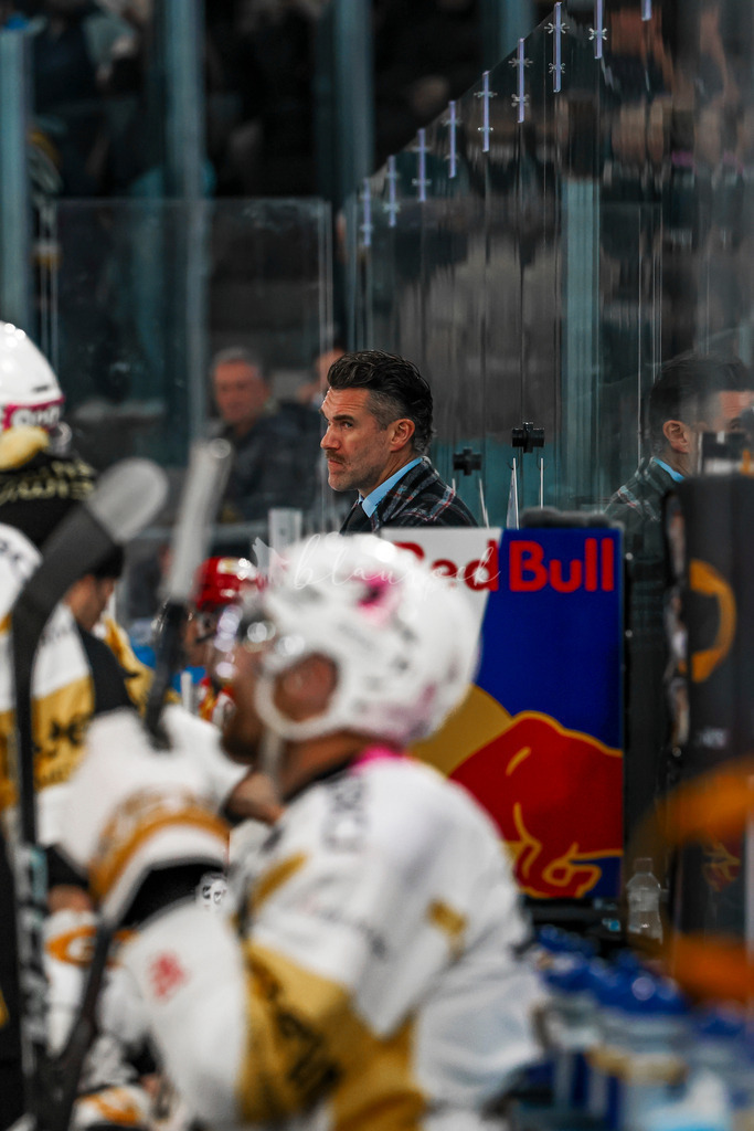 EHCB vs HCA 20260127_wb-9138 | Sportbilder, Sportfotograf, Hochzeits- und Eventfotografin, Flugshows, Portraits und Tiershooting, Aviation, Downhill, Nationalleague, Swissleague, International